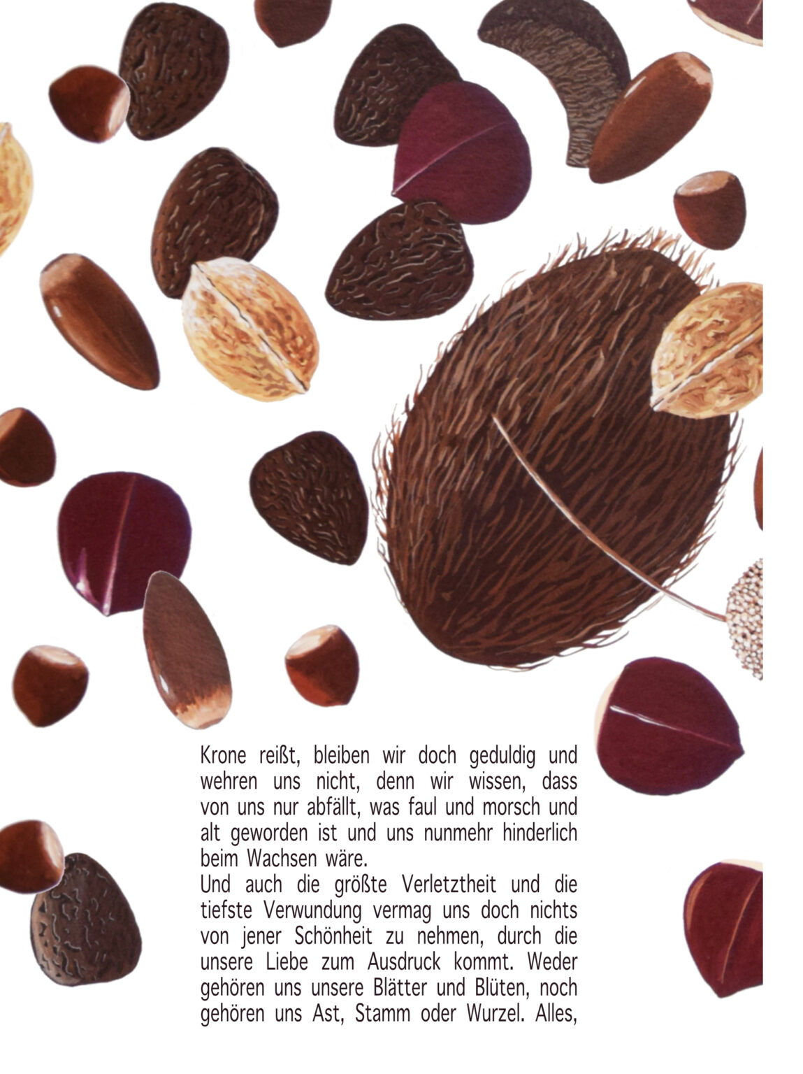 bruder baum s 38