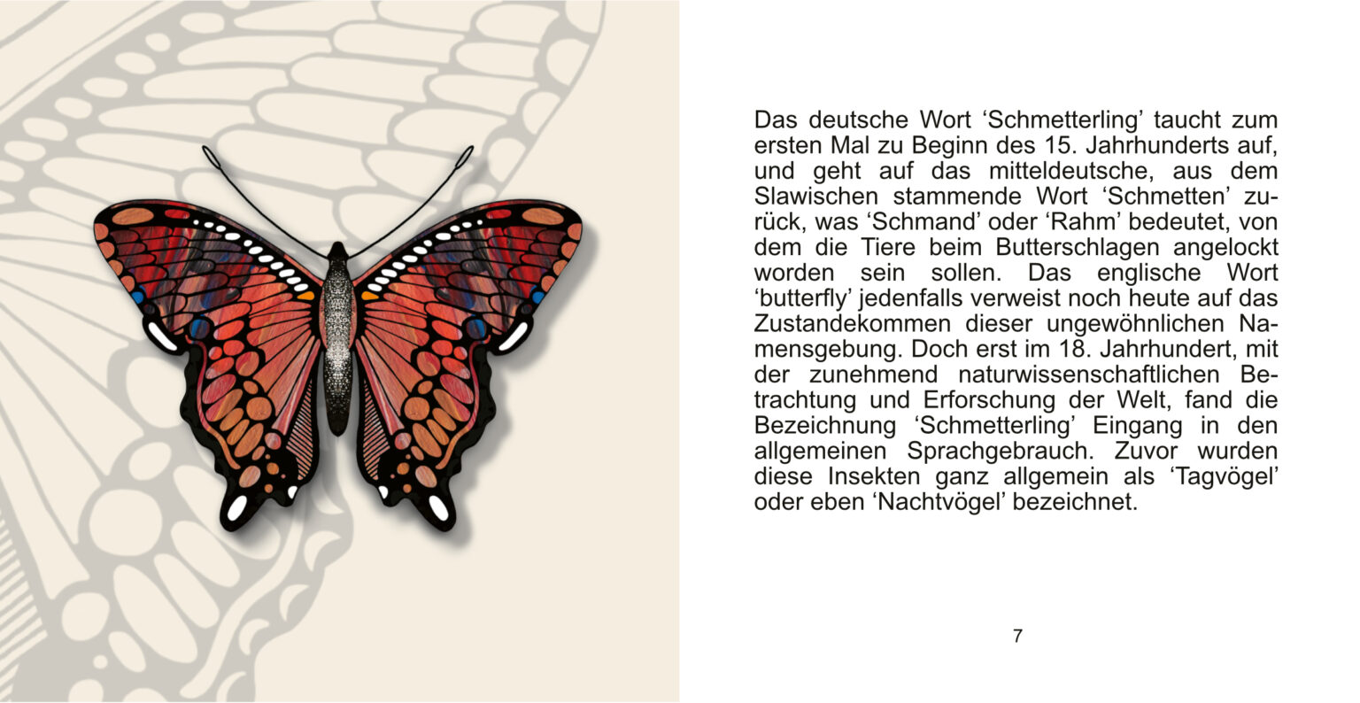 falterbuch seite 06_07