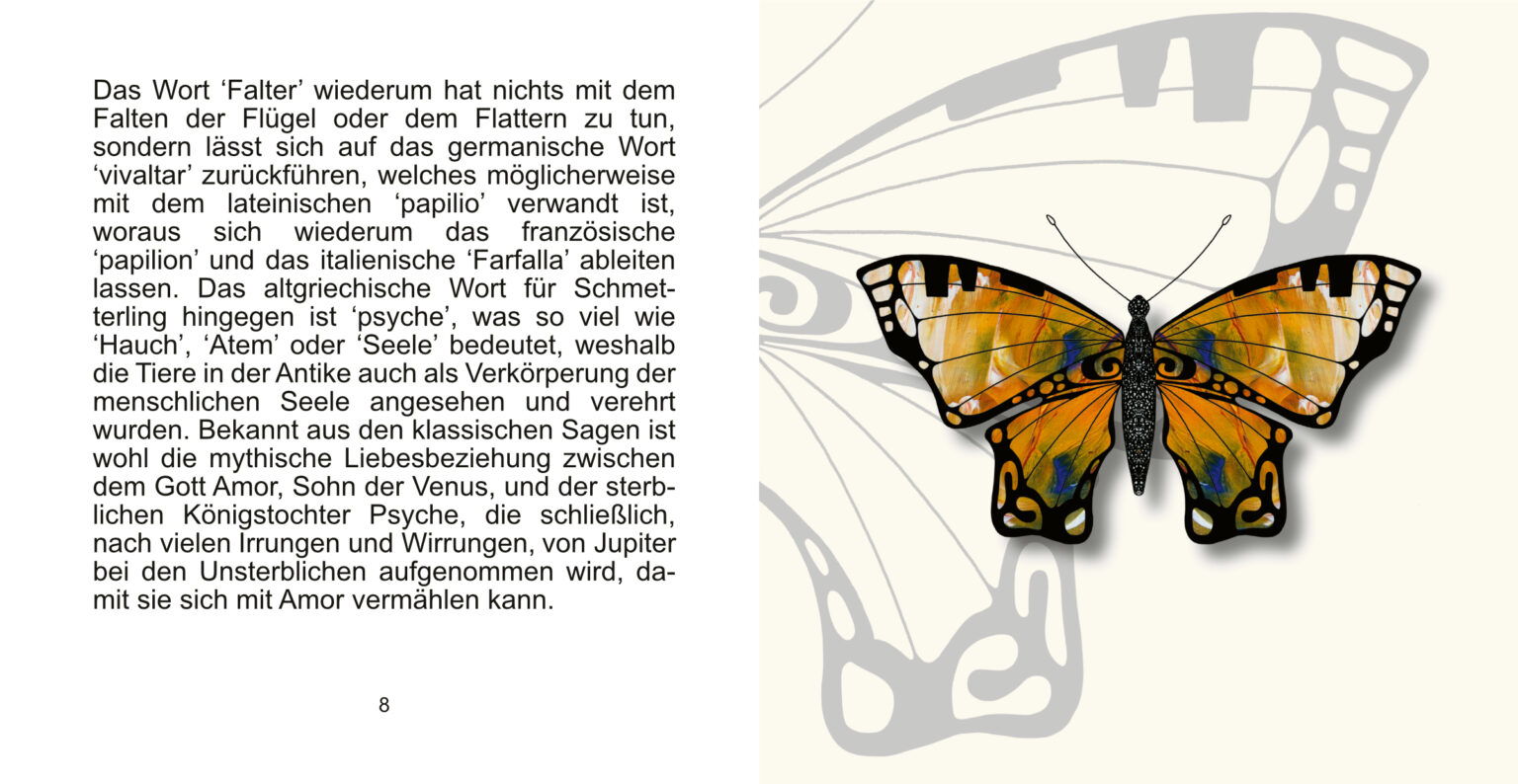 falterbuch seite 08_09