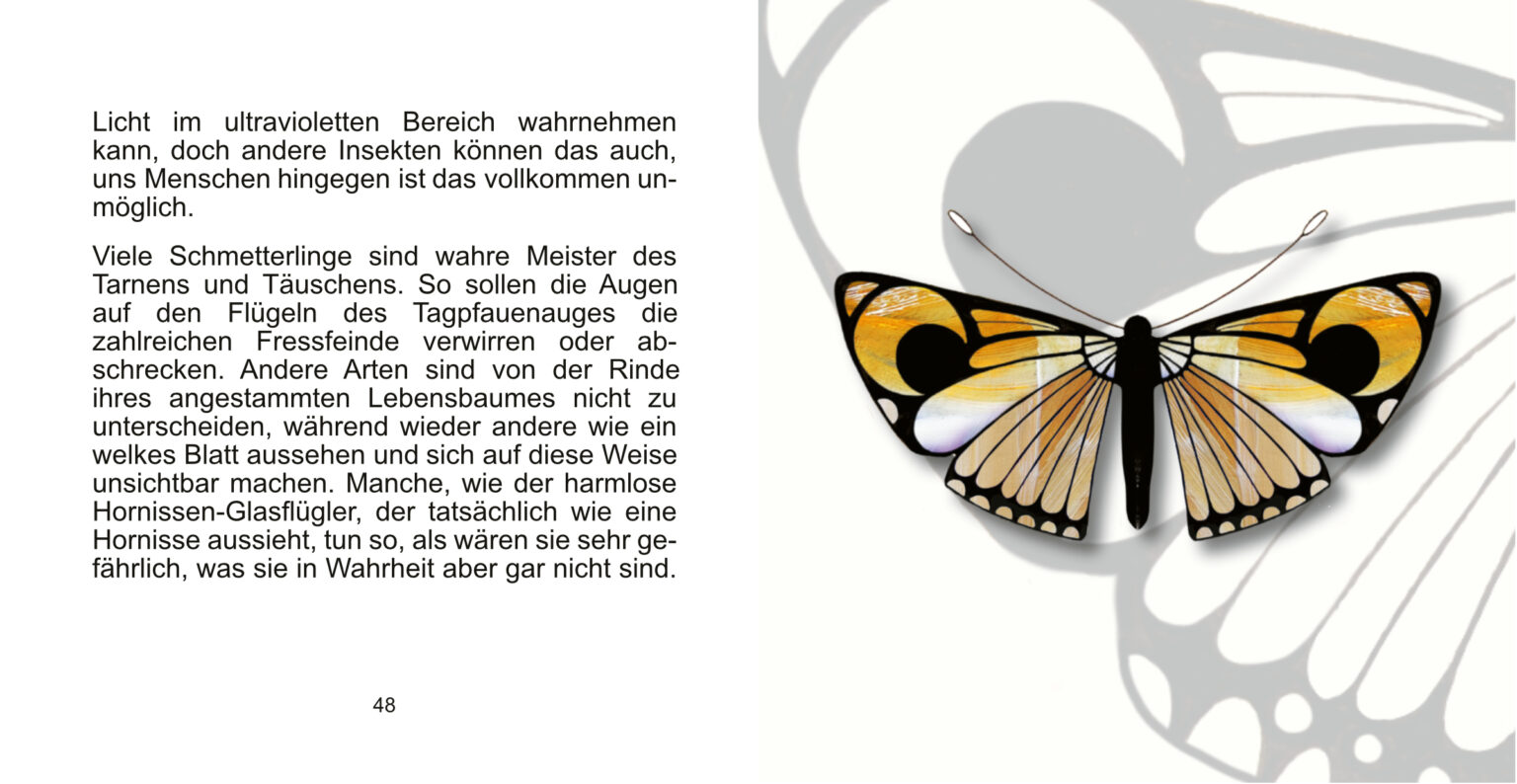 falterbuch seite 48_49