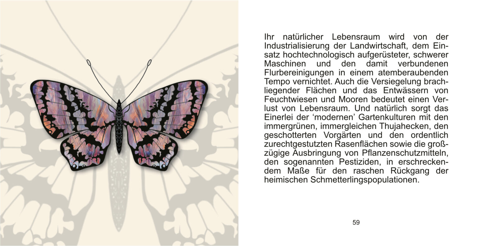 falterbuch seite 58_59