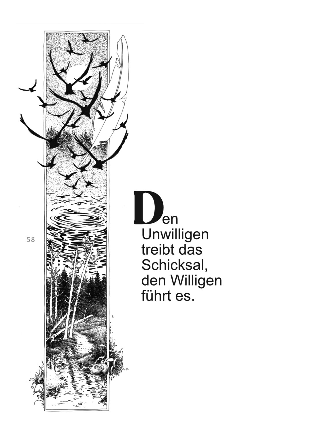 band 6_01