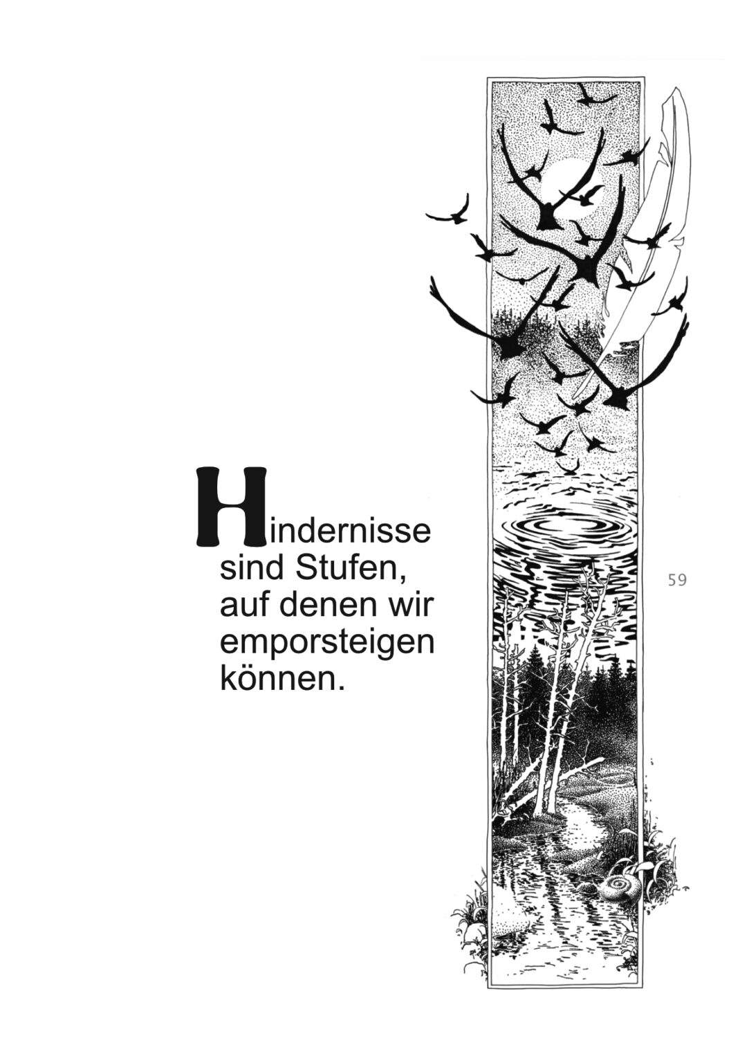 band 6_02