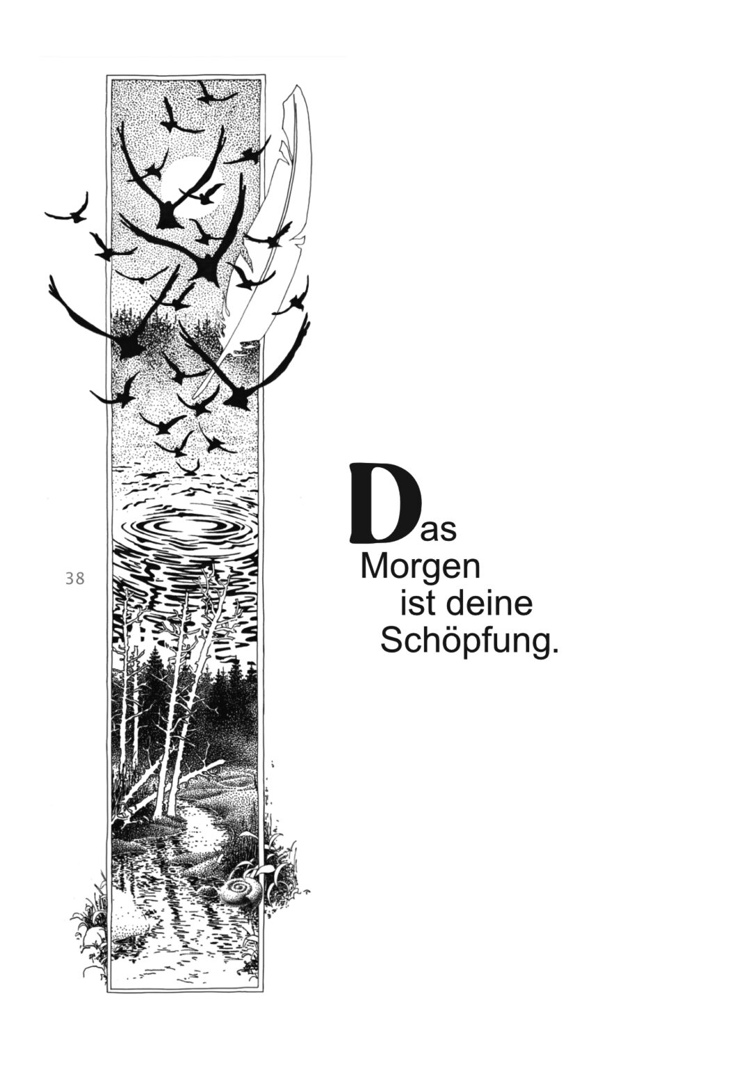 band 6_03