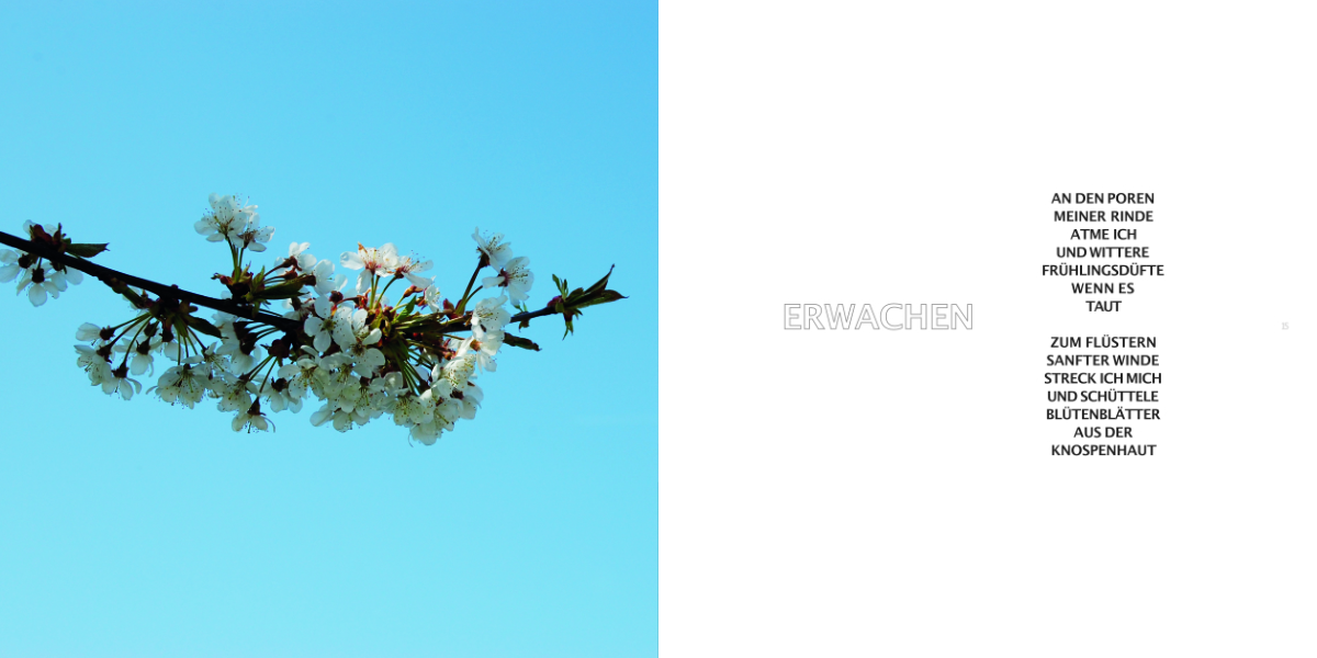 von über aus 14_15